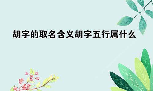 胡字的取名含义胡字五行属什么