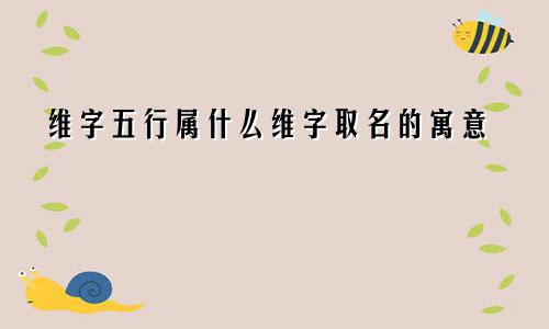 维字五行属什么维字取名的寓意