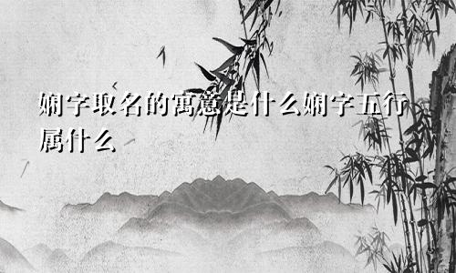 娴字取名的寓意是什么娴字五行属什么