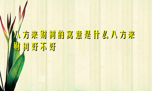 八方来财树的寓意是什么八方来财树好不好