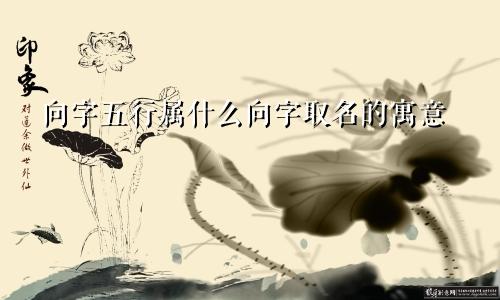 向字五行属什么向字取名的寓意
