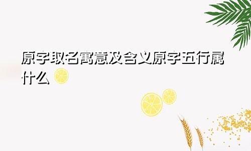 原字取名寓意及含义原字五行属什么