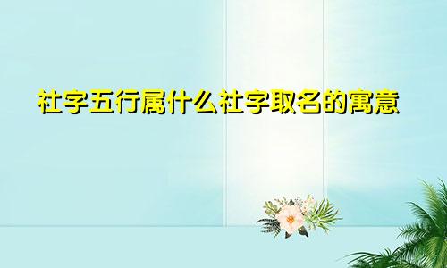 社字五行属什么社字取名的寓意