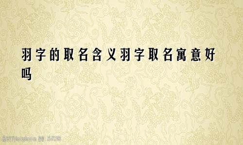 羽字的取名含义羽字取名寓意好吗