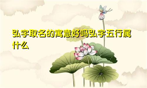 弘字取名的寓意好吗弘字五行属什么