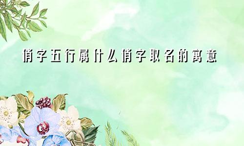 俏字五行属什么俏字取名的寓意