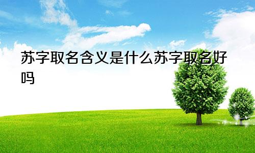 苏字取名含义是什么苏字取名好吗