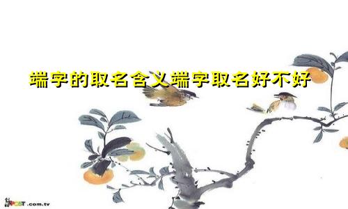 端字的取名含义端字取名好不好