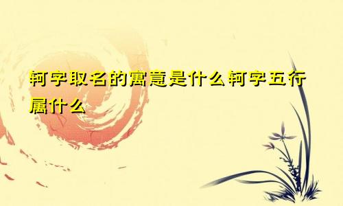 轲字取名的寓意是什么轲字五行属什么