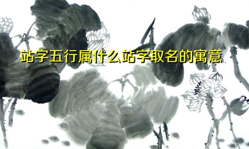 站字五行属什么站字取名的寓意