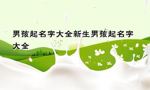 男孩起名字大全新生男孩起名字大全