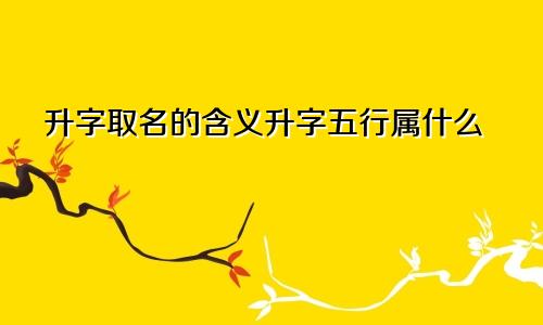 升字取名的含义升字五行属什么