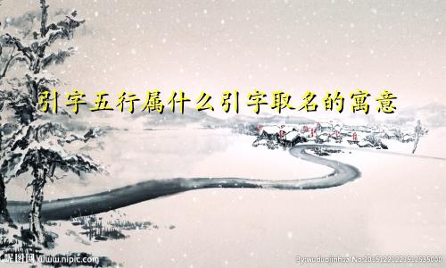引字五行属什么引字取名的寓意