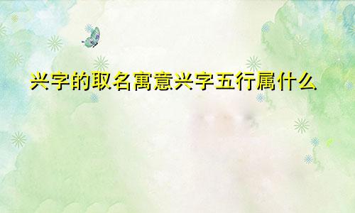 兴字的取名寓意兴字五行属什么