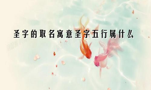 圣字的取名寓意圣字五行属什么