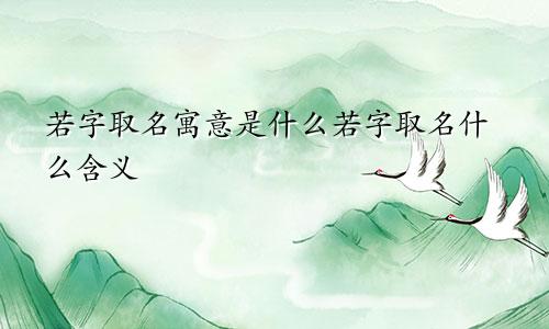 若字取名寓意是什么若字取名什么含义