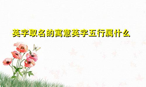英字取名的寓意英字五行属什么