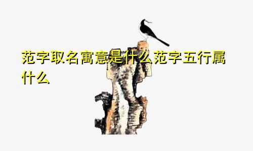 范字取名寓意是什么范字五行属什么