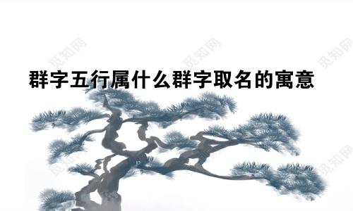 群字五行属什么群字取名的寓意