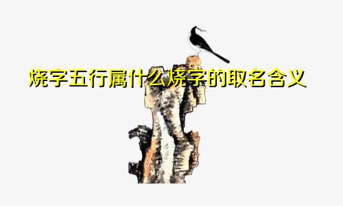 烧字五行属什么烧字的取名含义