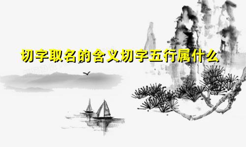 切字取名的含义切字五行属什么