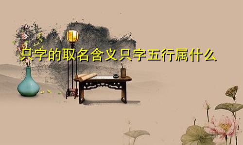 只字的取名含义只字五行属什么