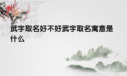 武字取名好不好武字取名寓意是什么