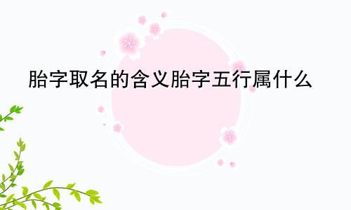 胎字取名的含义胎字五行属什么