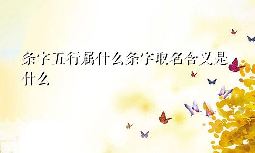 条字五行属什么条字取名含义是什么