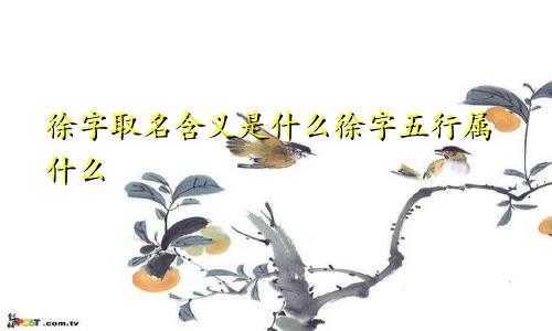 徐字取名含义是什么徐字五行属什么