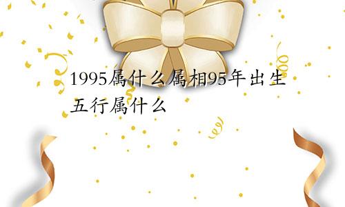 1995属什么属相95年出生五行属什么