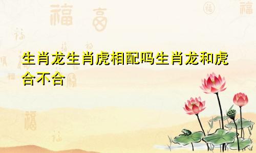 生肖龙生肖虎相配吗生肖龙和虎合不合