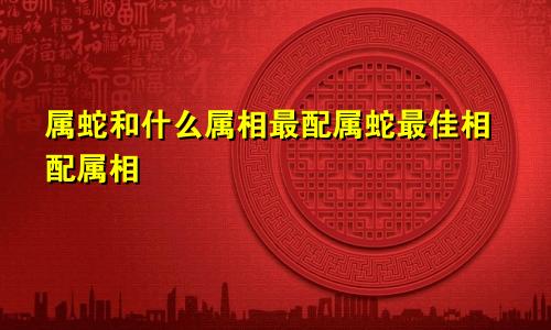 属蛇和什么属相最配属蛇最佳相配属相