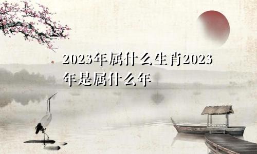 2023年属什么生肖2023年是属什么年