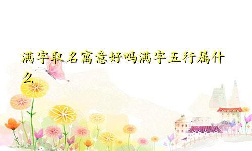 满字取名寓意好吗满字五行属什么