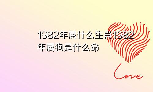 1982年属什么生肖1982年属狗是什么命