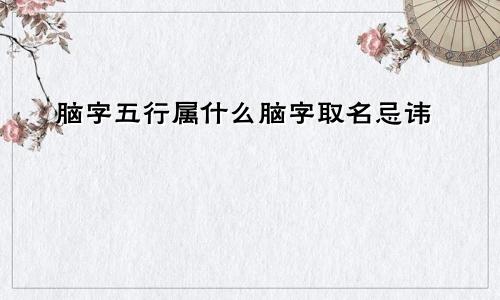 脑字五行属什么脑字取名忌讳