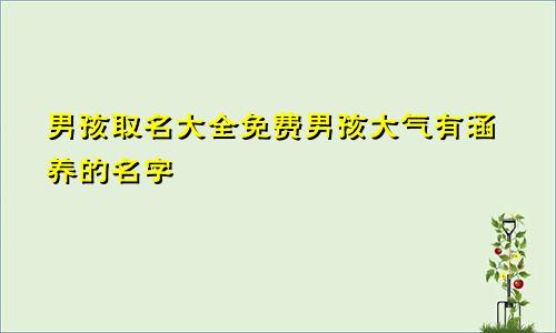 男孩取名大全免费男孩大气有涵养的名字