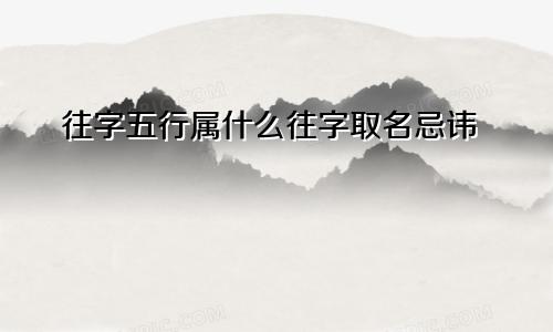 往字五行属什么往字取名忌讳
