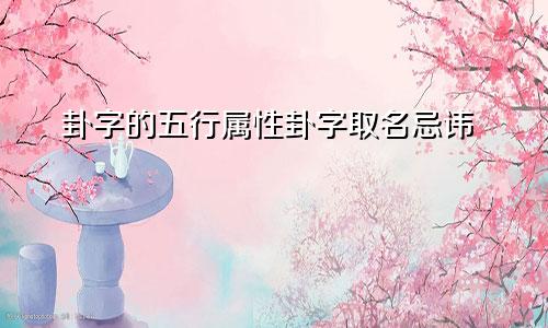 卦字的五行属性卦字取名忌讳