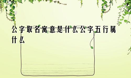 公字取名寓意是什么公字五行属什么
