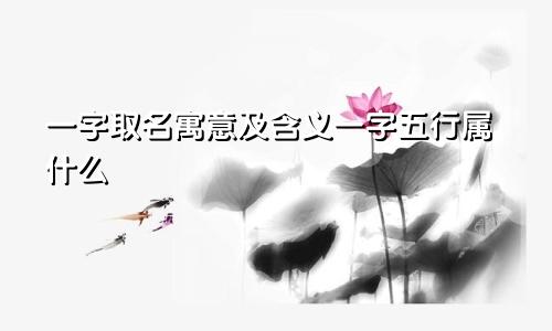 一字取名寓意及含义一字五行属什么
