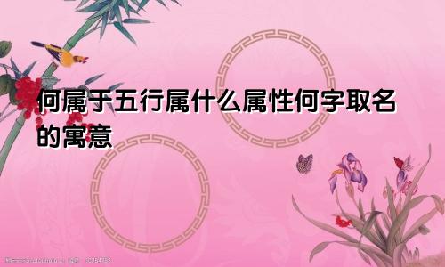 何属于五行属什么属性何字取名的寓意