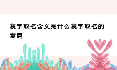 襄字取名含义是什么襄字取名的寓意