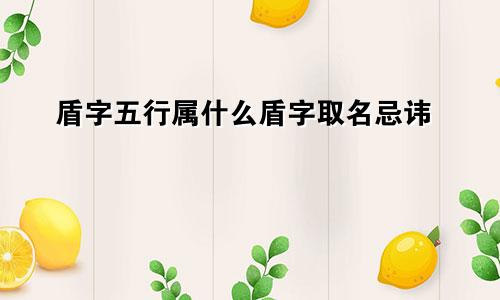 盾字五行属什么盾字取名忌讳