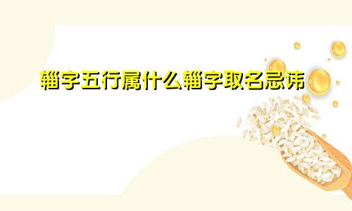 辎字五行属什么辎字取名忌讳