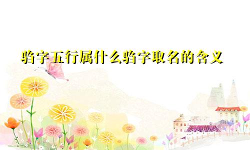 驺字五行属什么驺字取名的含义