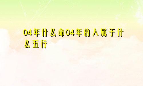 04年什么命04年的人属于什么五行