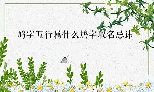 鸠字五行属什么鸠字取名忌讳