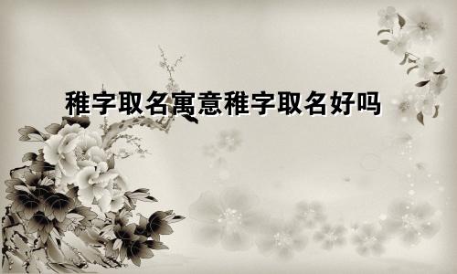 稚字取名寓意稚字取名好吗